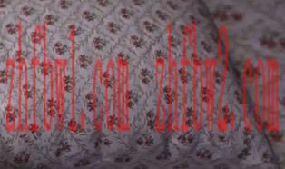 【欧美SLG/汉化/动态】探索大苹果Ep.2汉化版【PC+安卓/491MB/更新】illusion中国i社Steam游戏下载